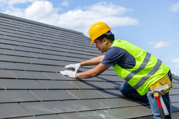 Best Storm Damage Roof Repair  in Muscle Shos, AL