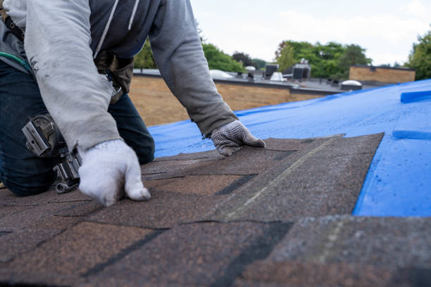 Reliable Muscle Shoals, AL Roofing Contractor Solutions