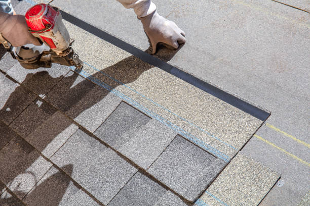 Best Affordable Roof Replacement  in Muscle Shos, AL