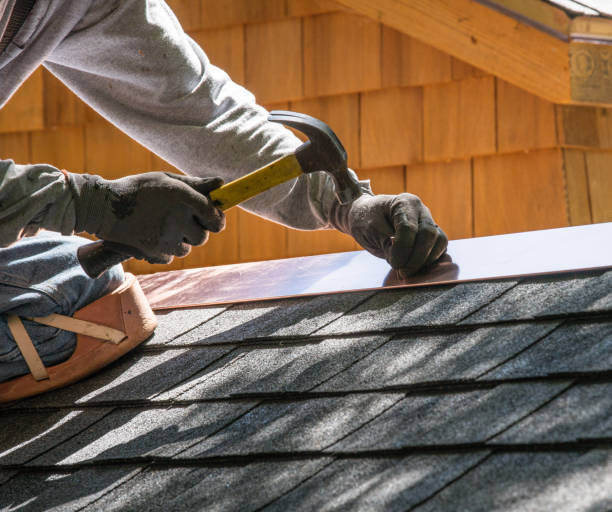 Best Local Roofing Companies  in Muscle Shos, AL
